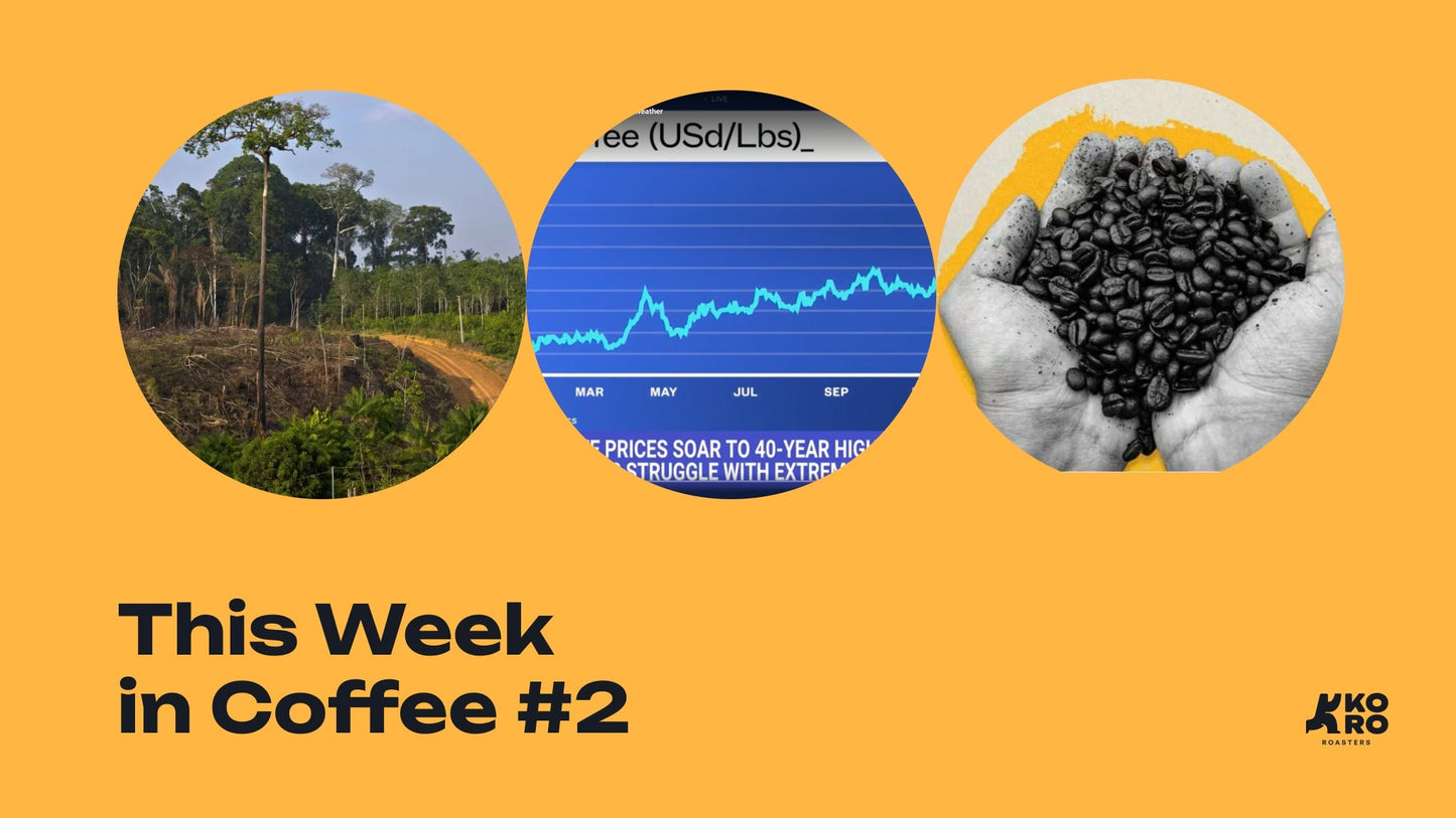 This Week in Coffee #2: cleared rainforest, a chart of coffee prices climbing to a 40-year high, and hands holding roasted coffee beans