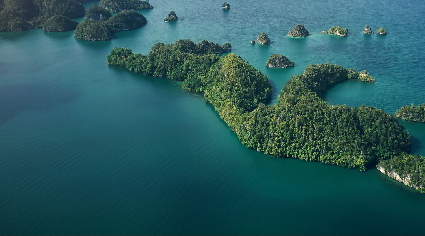 Indonesian Coffee: A Guide to the Regions and How to Choose Yours