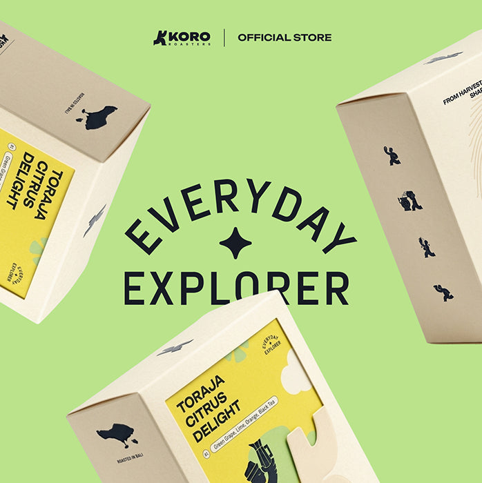 Everyday Explorer